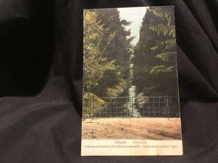 carte postala circulata - Valcele / Vederea paraului la sfarsitul promenadei !