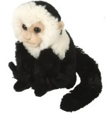 Cumpara ieftin Jucarie plus Wild Republic - Maimuta Capucin, 20 cm