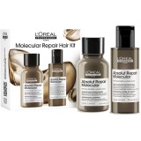 L&rsquo;Or&eacute;al Professionnel Serie Expert Absolut Repair Molecular set cadou pentru par deteriorat
