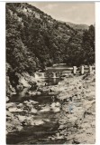 CPI B13769 CARTE POSTALA - BAILE HERCULANE. VALEA CERNEI, RPR, Circulata, Fotografie