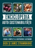 Cumpara ieftin Enciclopedia auto-sustenabilitatii - Ghidul complet al gospodariei autonome | James Strawbridge, Dick Strawbridge