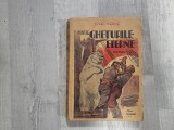 Printre gheturile eterne de Jules Verne