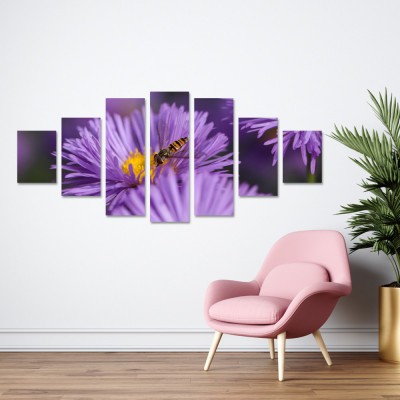 Tablou canvas 7 piese - Aster foto