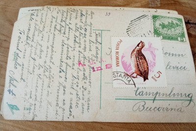 Carte Poștală Ilustrată KUK cenzură militară C&amp;acirc;mpulung foto