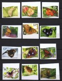NIUAFO&#039;OU 2012 FAUNA INSECTE FLUTURI NEDANTELAT
