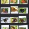 NIUAFO&#039;OU 2012 FAUNA INSECTE FLUTURI NEDANTELAT
