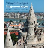 Vil&aacute;g&ouml;r&ouml;ks&eacute;gek Magyarorsz&aacute;gon - Rig&oacute; Tibor