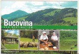 Bnk cp Bucovina - Destinatie ecoturistica - Vedere - necirculata, Printata, Suceava