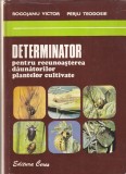 Determinator pentru recunoasterea daunatorilor plantelor cultivate - Victor