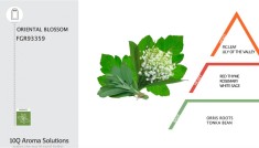 Mostra 1ml - Aroma Uleiuri Esentiale Tobacco Honey
