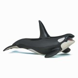 Papo figurina balena ucigasa, Universul Acvatic