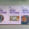 MISTICI DIN CARPATI SI ALTI OAMENI SLAVITI DIN ISTORIA MANTUIRII - VASILE ANDRU - 3 VOLUME