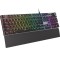 Tastatura Genesis Thor 400 RGB