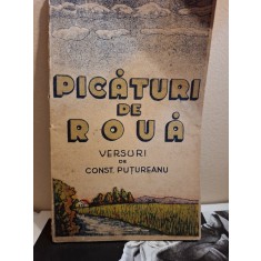 Picături de rouă (Ex-Libris Dragos Morarescu_ - Const. Păuțăreanu