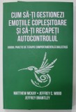 CUM SA- TI GESTIONEZI EMOTIILE COPLESITOARE SI SA - TI RECAPETI AUTOCONTROLUL - GHID PRACTIC DE TERAPIE COMPORTAMENTALA DIALECTICA de MATTHEW MCKAY ..