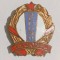 INSIGNA RECORD REGIONAL FRUNTAS FRUNTAS ( CITITI DESCRIEREA )