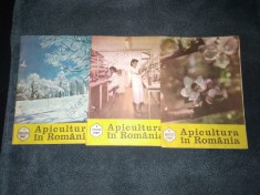 16 REVISTE APICULTURA APICULTURA IN ROMANIA ROMANIA APICOLA 1969 1987 1988 1989 1990