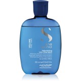 Alfaparf Milano Semi Di Lino Volumizing sampon pentru volum pentru par fin 250 ml