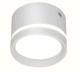 Cumpara ieftin Aplica de Tavan Techstar&reg; LED 10W, Alba, 6500K, Corp Aluminiu, Design Cilindric, Rezistenta la Umiditate, IP44