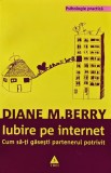 Cumpara ieftin Iubire pe internet. Cum sa-ti gasesti partenerul potrivit - 2009 - Diane M. Berry ($T293)