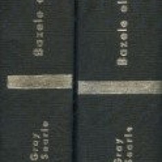 Paul E. Gray - Bazele electronicii moderne ( 2 vol. )