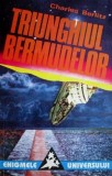 Cumpara ieftin Triunghiul Bermudelor. Incredibila poveste a disparitiilor - Charles Berlitz