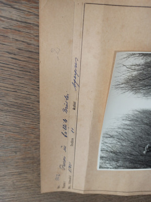 PESCARI IN BALTILE BRAILEI, FOTO CCA 1955, , FOTO-PRESS AGERPRES foto