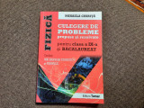 FIZICA PROBLEME PROPUSE SI REZOLVATE PENTRU CLASA A IX-A - MIHAELA CHIRITA