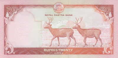 Bancnota Nepal 20 Rupii 2020 - P78 UNC foto