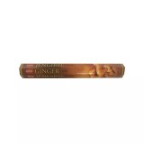 Cumpara ieftin Betisoare Parfumate - Set 20 Buc - Ginger