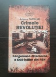 Crimele Revoluției. S&acirc;ngeroasa diversiune a KGB-iștilor din FSN - Grigore Cartianu