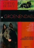 Le groenendael - Romain Tillet