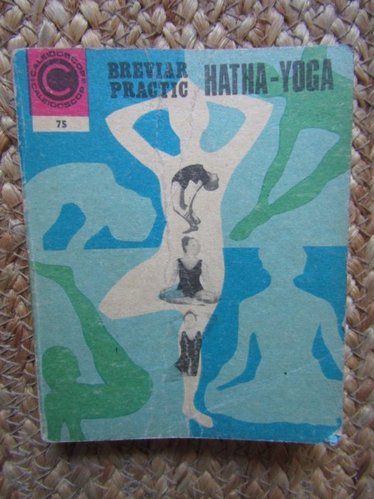 BREVIAR PRACTIC HATHA - YOGA - ION VULCANESCU