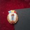 Insigna U.C.F.S.