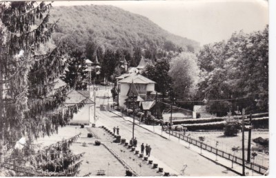 AS - ILUSTRATA 1209, SOVATA, NECIRCULATA foto