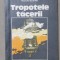 Tropotele tăcerii - Nicolae Boghian
