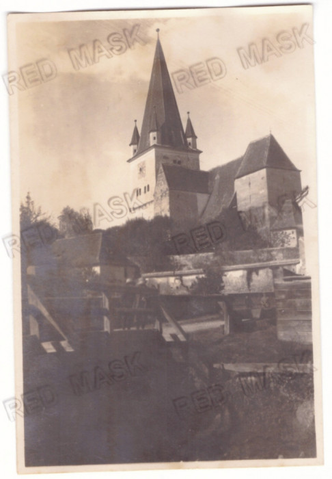 4536 - CISNADIE, Sibiu, Church - old postcard, real Photo 14/9 cm - unused