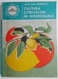 Carte: Cultura citricelor in gospodarie de Mari-Ann Drobota