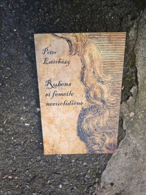 Rubens și femeile neeuclidiene - P&amp;eacute;ter Esterh&amp;aacute;zy foto