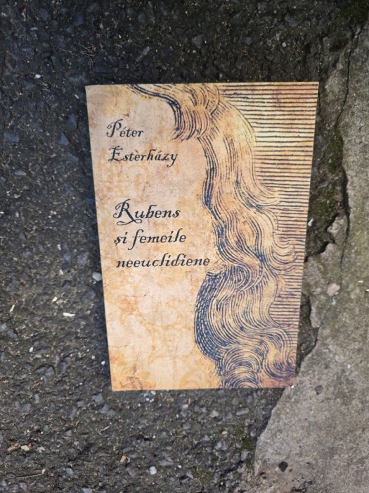 Rubens și femeile neeuclidiene - P&eacute;ter Esterh&aacute;zy