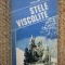 Stele viscolite &ndash; Traian Reu