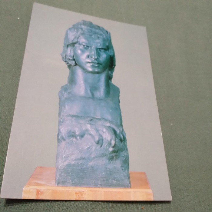 CARTE POSTALA -MUZEUL NATIONAL DE ARTA CLUJ NECIRCULATA