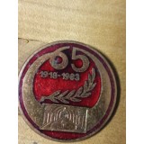 Insigne (3) 65 ani