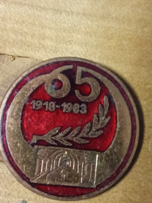 Insigne (3) 65 ani foto