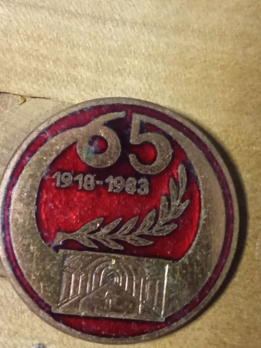 Insigne (3) 65 ani