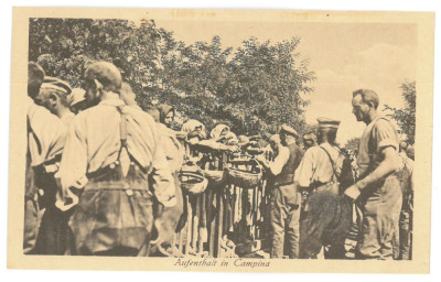 4755 - CAMPINA, Prahova, Ethnic, market, Romania - old postcard - used - 1918 foto