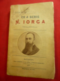 St.Metes - Ce a scris N.Iorga - Viata si Activitatea sa -Bibliografia -1913