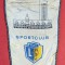 Fanion - SPORT CLUB LEIPZIG (DDR - Germania)
