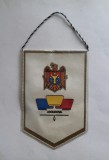 Fanion tematica sportiva &ndash; Republica Moldova