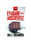 Evadare de la Auschwitz